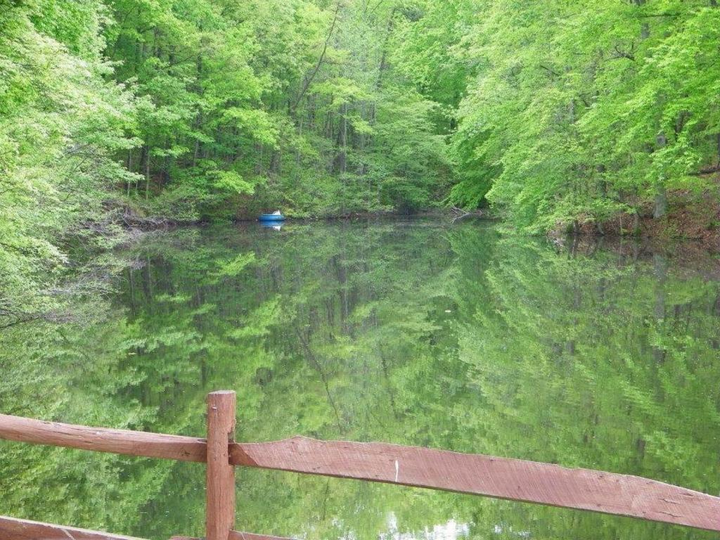 Lake Myers Lakeside Villa 16 Mocksville Экстерьер фото